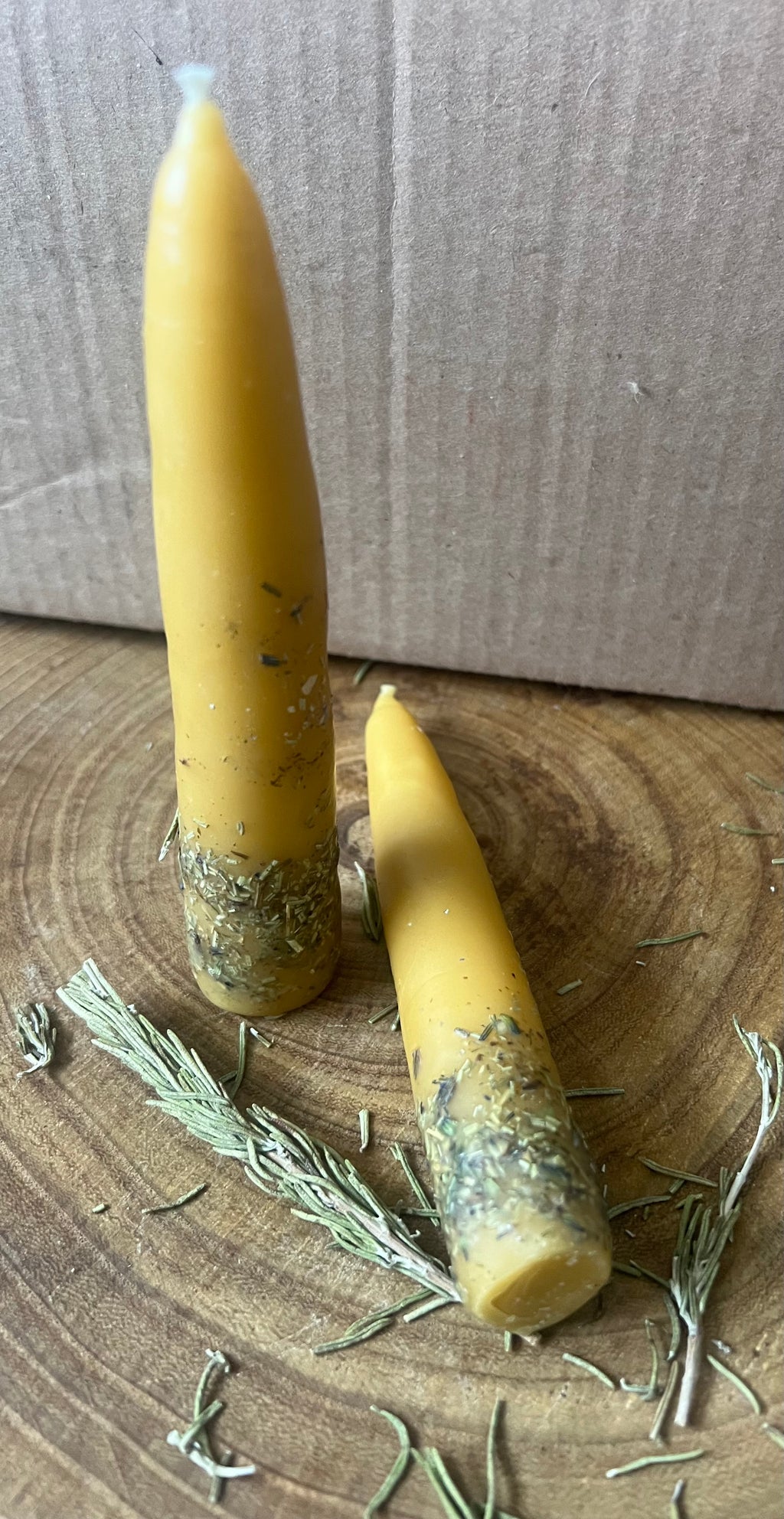 Hand-Dipped Beeswax Taper Candles | Protection & Plain | Hearth & Provision