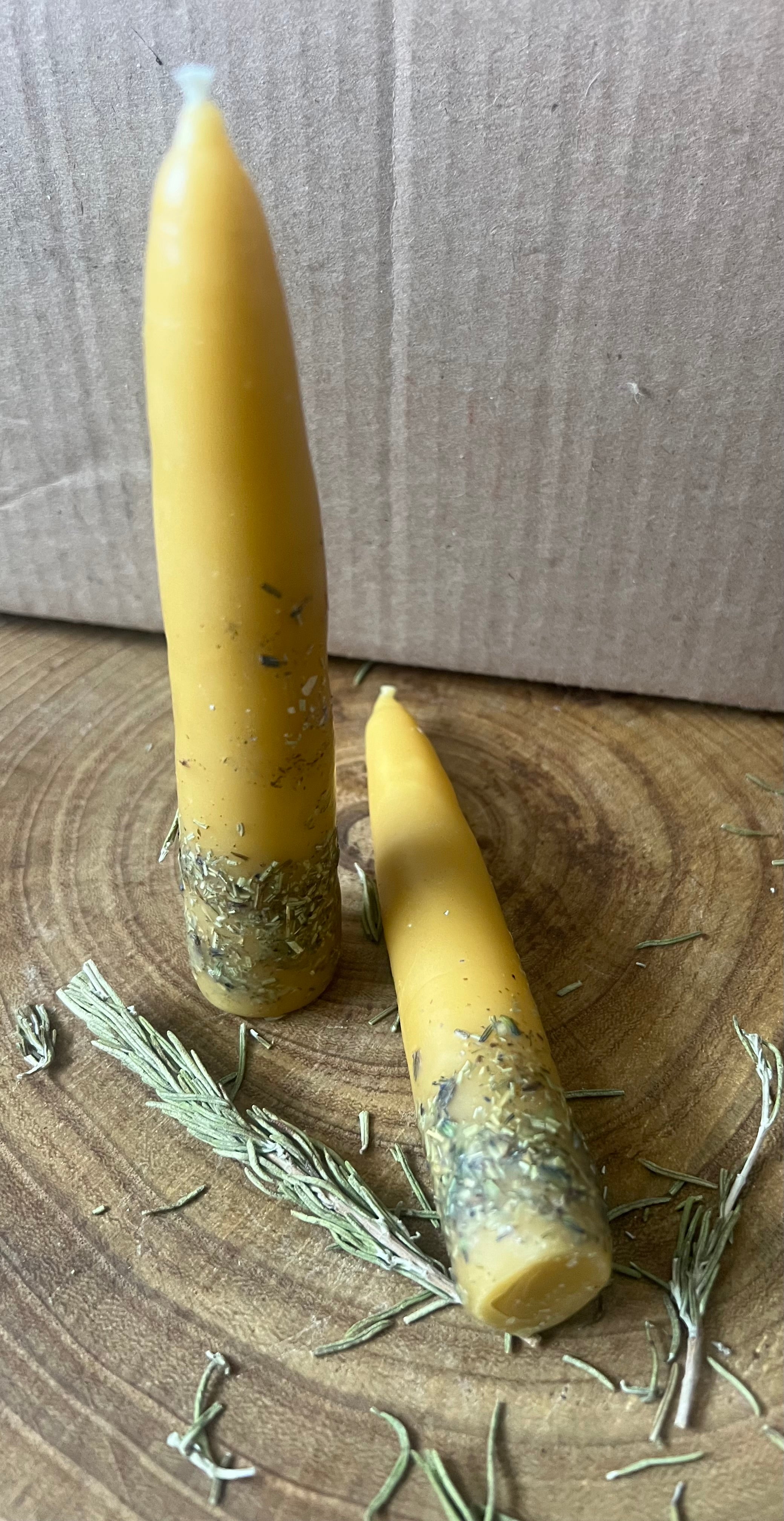 Hand-Dipped Beeswax Taper Candles | Protection & Plain | Hearth & Provision