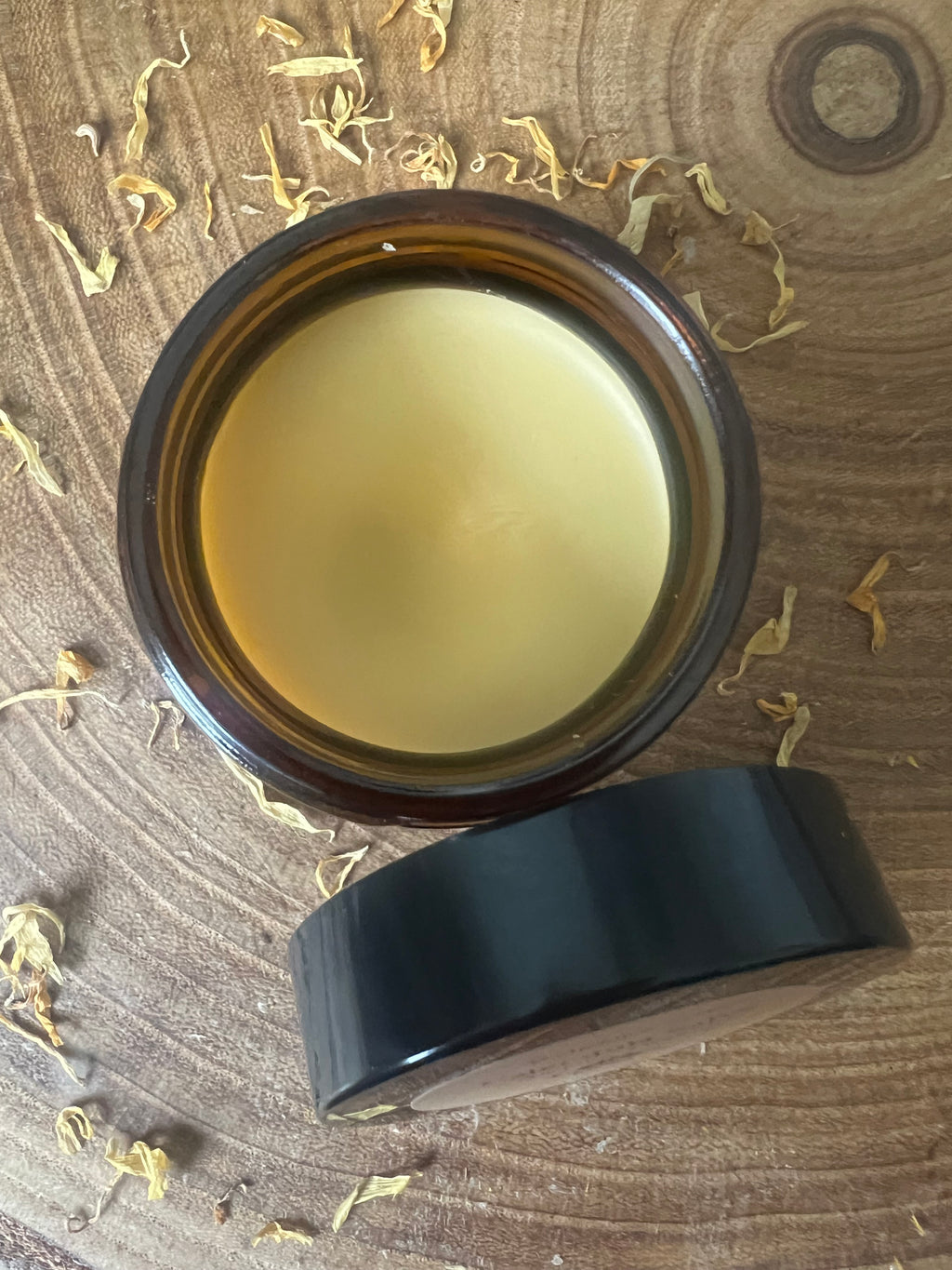 Calendula Salve for Skin Repair & Burn Care | Herbal Healing Balm | Small Batch Apothecary | 2 oz