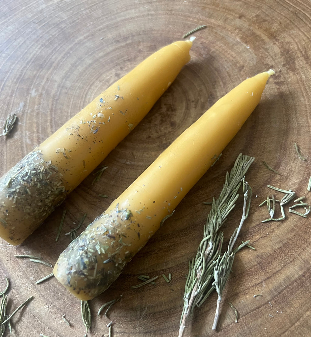 Hand-Dipped Beeswax Taper Candles | Protection & Plain | Hearth & Provision