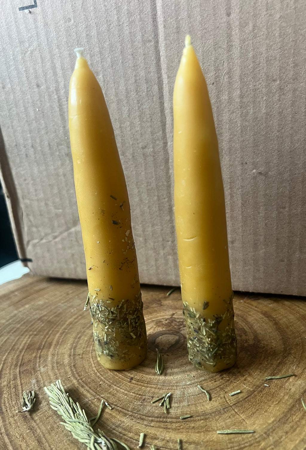 Hand-Dipped Beeswax Taper Candles | Protection & Plain | Hearth & Provision