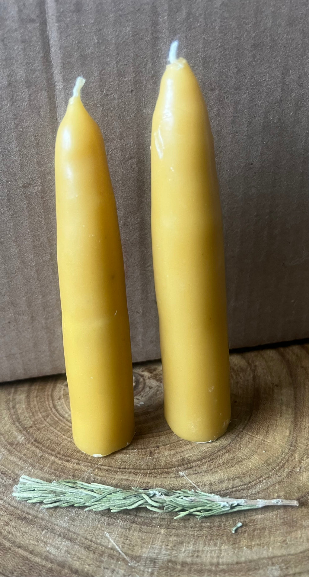 Hand-Dipped Beeswax Taper Candles | Protection & Plain | Hearth & Provision