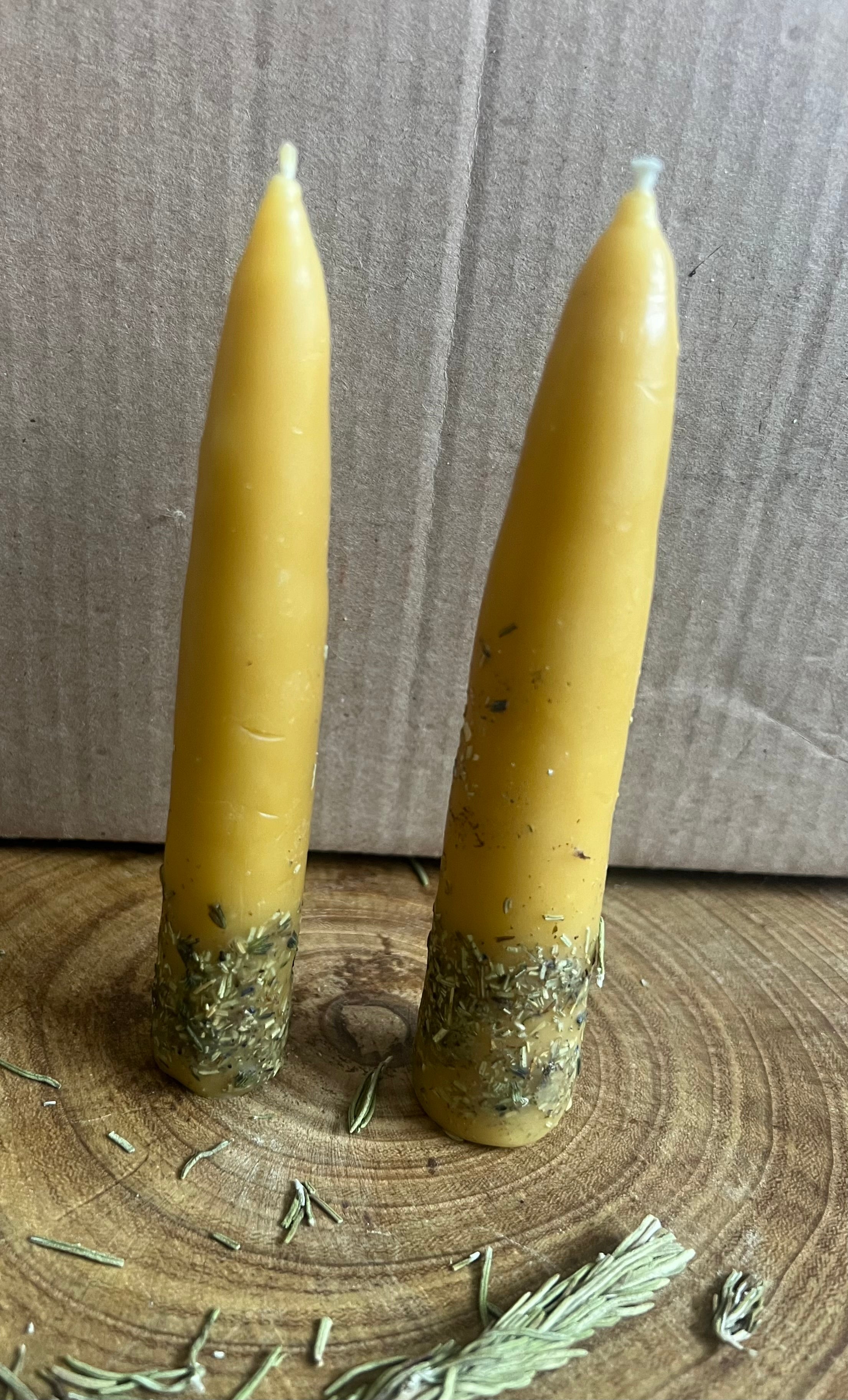 Hand-Dipped Beeswax Taper Candles | Protection & Plain | Hearth & Provision